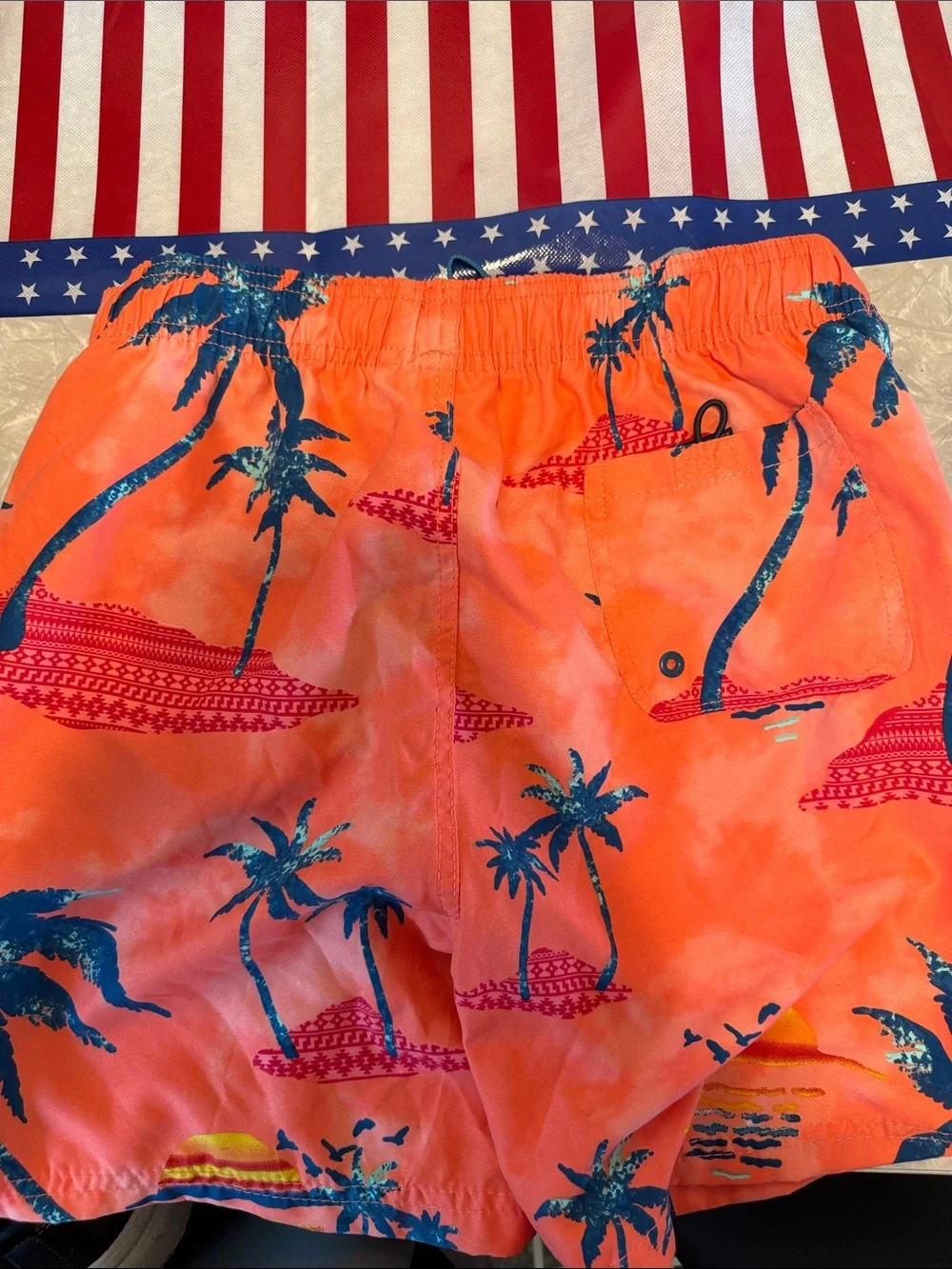 burnside Coral Swim Shorts with Blue Palm Print